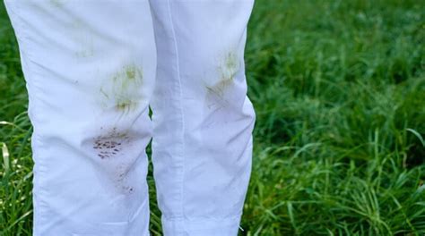 gras vlekken uit kleding